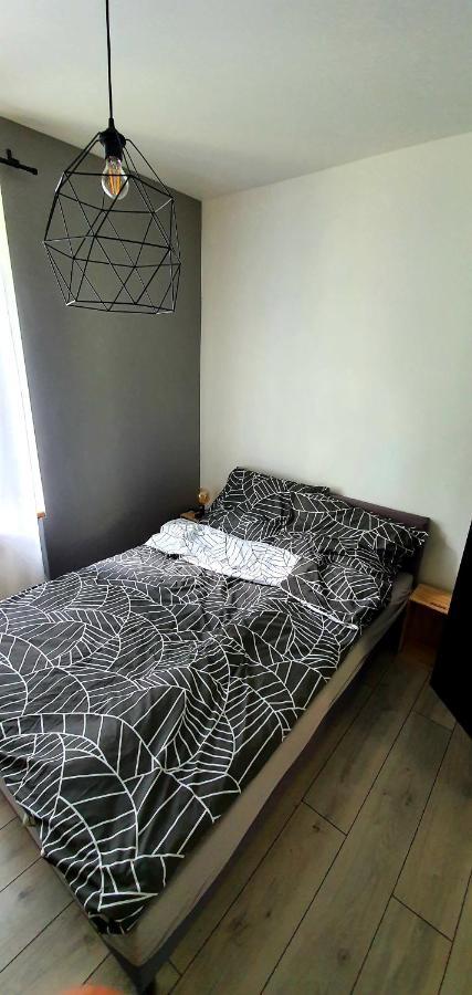 פרוז'קוב Juna2 - Nowoczesny Apartament W Centrum Z Widokiem Na Park מראה חיצוני תמונה